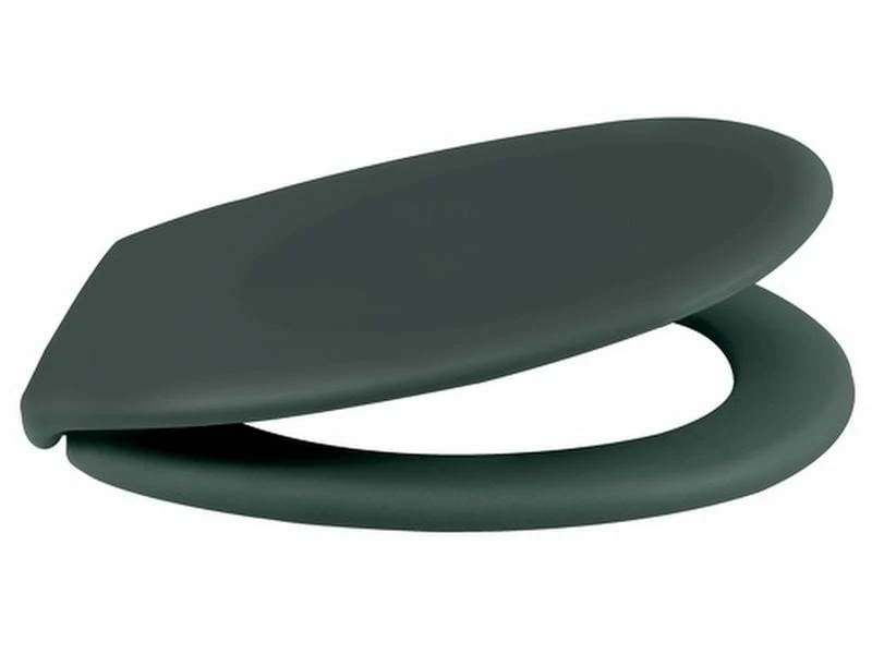 Spirella Toilettensitz Neela Dunkelgrün matt 2 Spirella Toilettensitz Neela Dunkelgrün matt – Bild 2