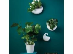 Koziol Duschmittelhalter Utensilo Surf XL, Anthrazit -Angebote Bad & Sanitär Store 53116605 xxl 8