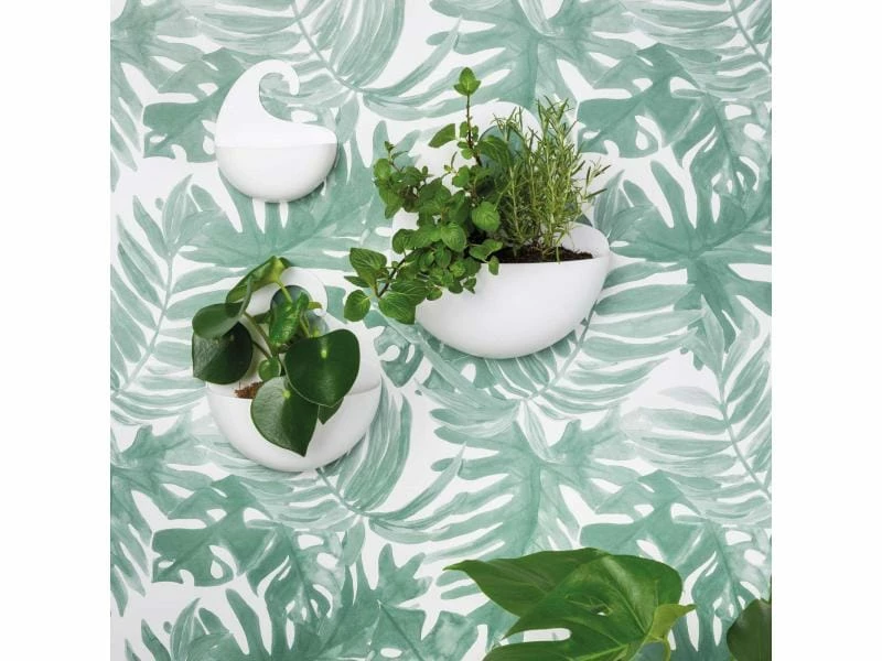 Koziol Duschmittelhalter Utensilo Surf M, Weiss glanz 2 Koziol Duschmittelhalter Utensilo Surf M, Weiss glanz – Bild 2