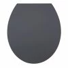 Diaqua Toilettensitz HOLLYWOOD Grey Absenkautomatik